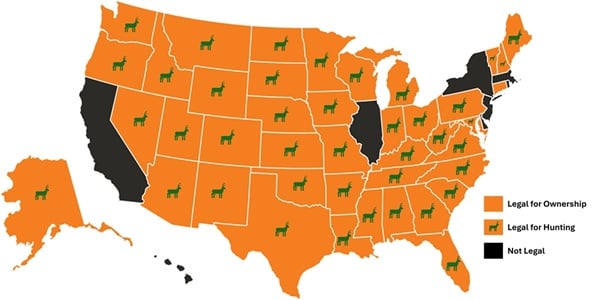 What States are Silencers Legal